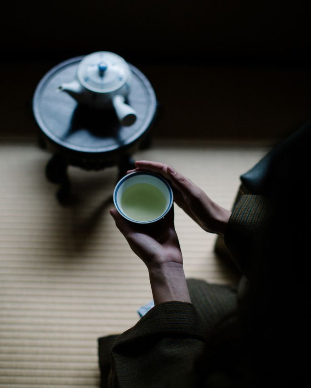 SENCHA