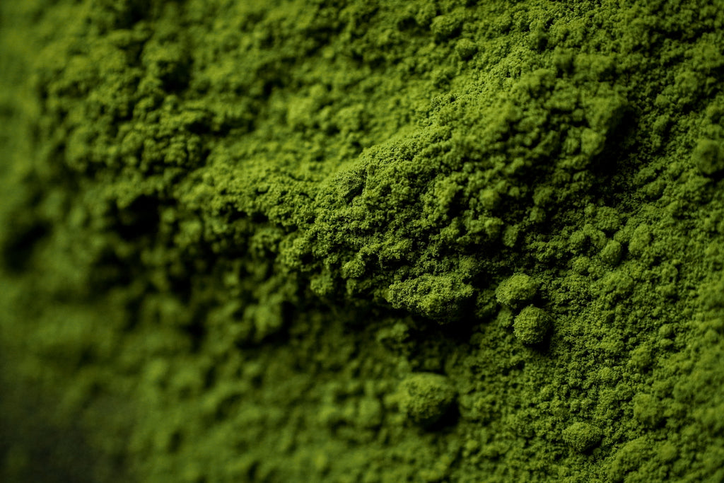 Ceremonial grade matcha powder from Uji, Kyoto
