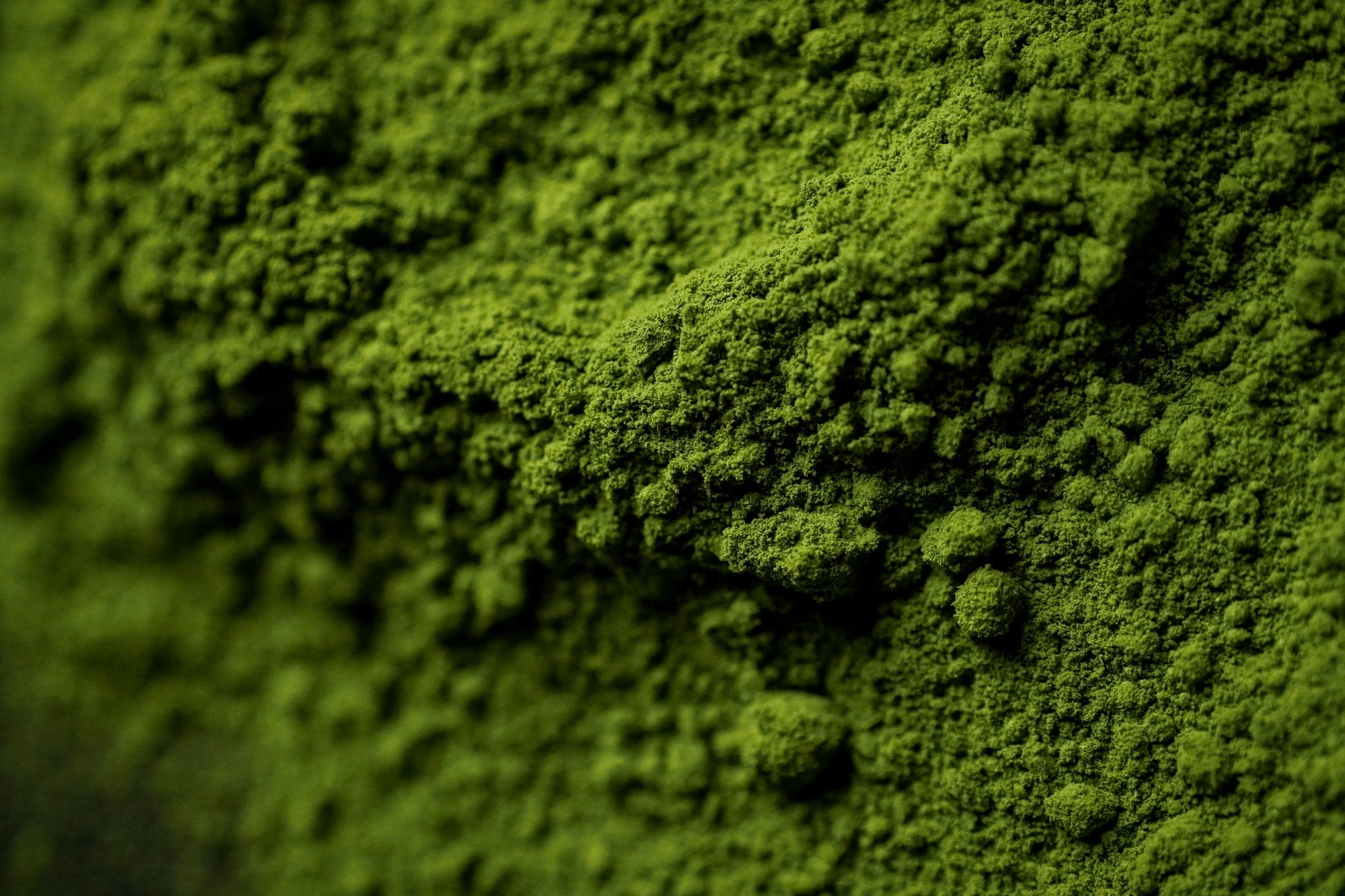 Ceremonial grade matcha powder from Uji, Kyoto
