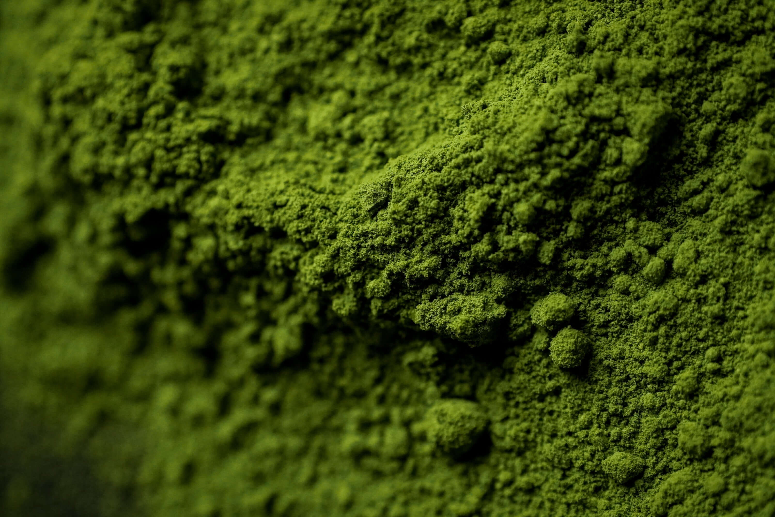 Ceremonial grade matcha powder from Uji, Kyoto