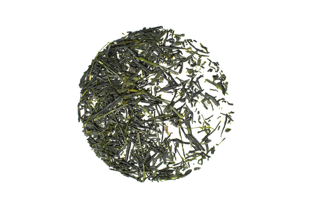 Chitosemidori - Sencha