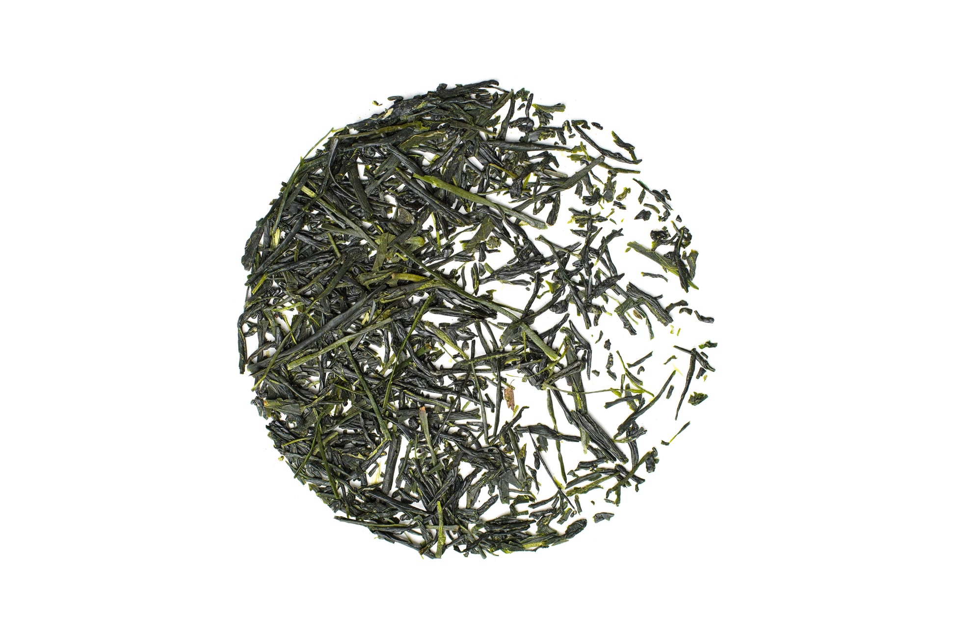 Chitosemidori - Sencha