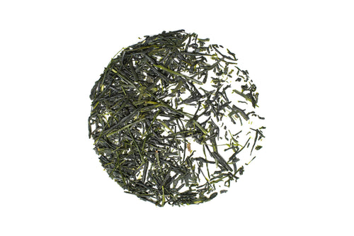 Chitosemidori - Sencha