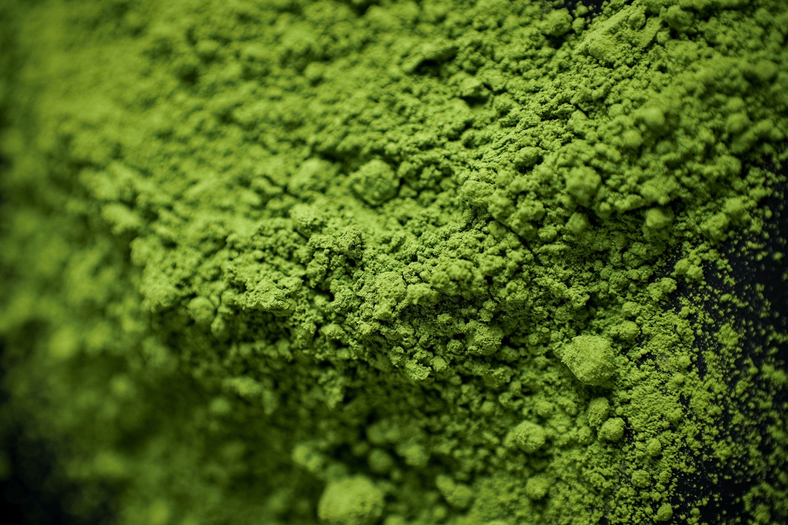 Ceremonial grade matcha powder from Uji, Kyoto