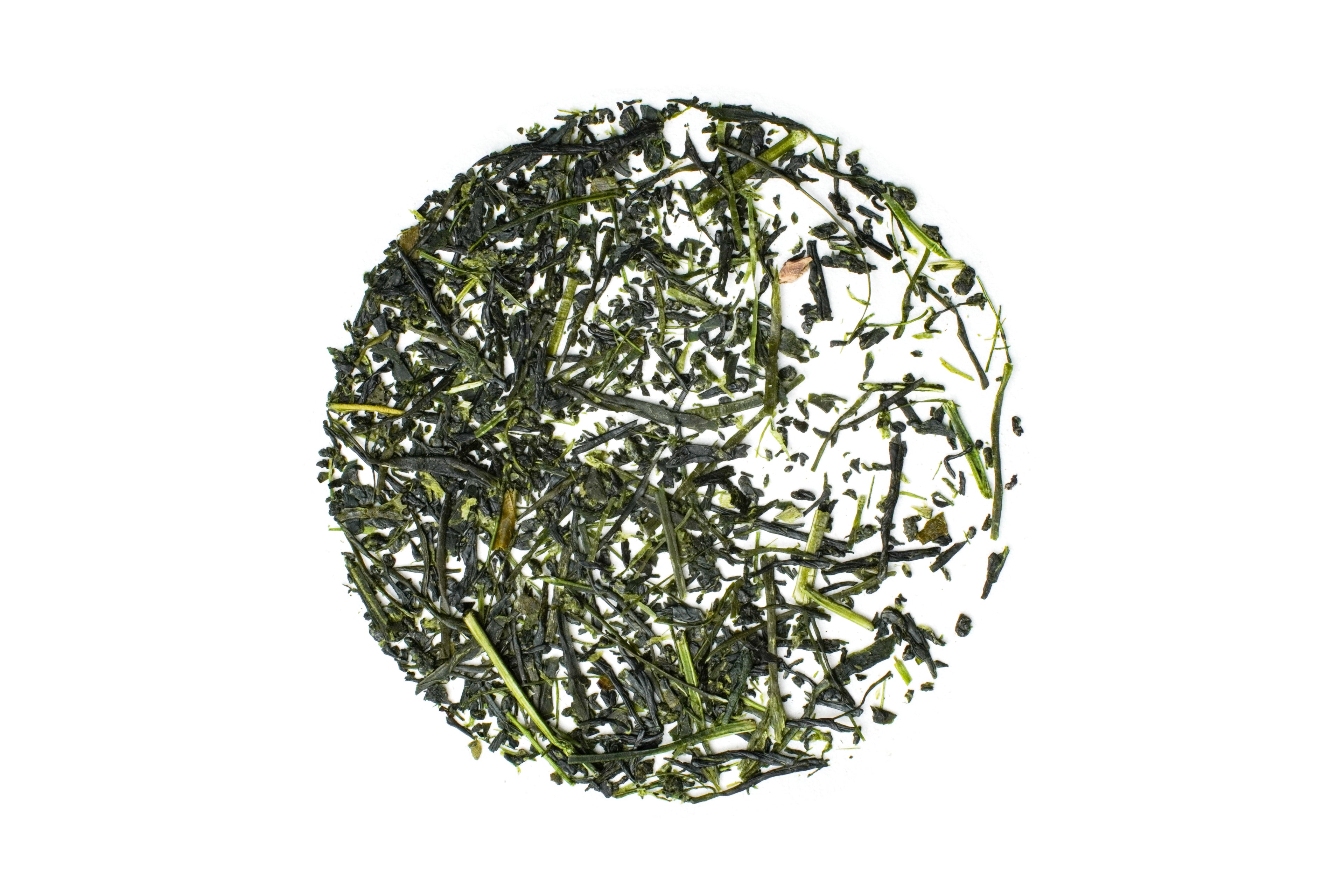 Haruno-okuhitoiro - Gyokuro