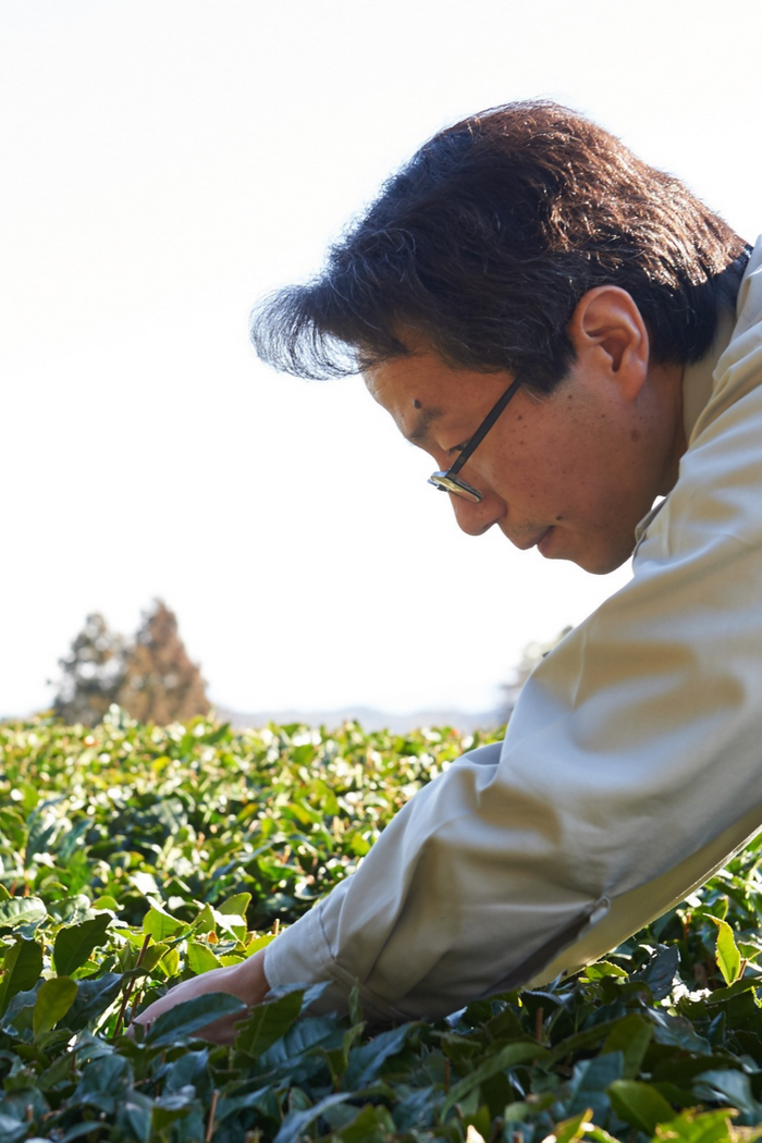 Appraised by a 10th-Dan tea master